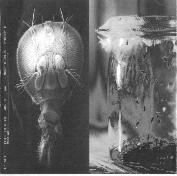 Alice In Chains : Jar Of Flies (EP,Stereo)