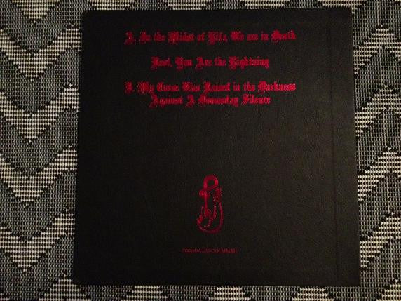 Ash Borer : Ash Borer (LP,Album,Repress)