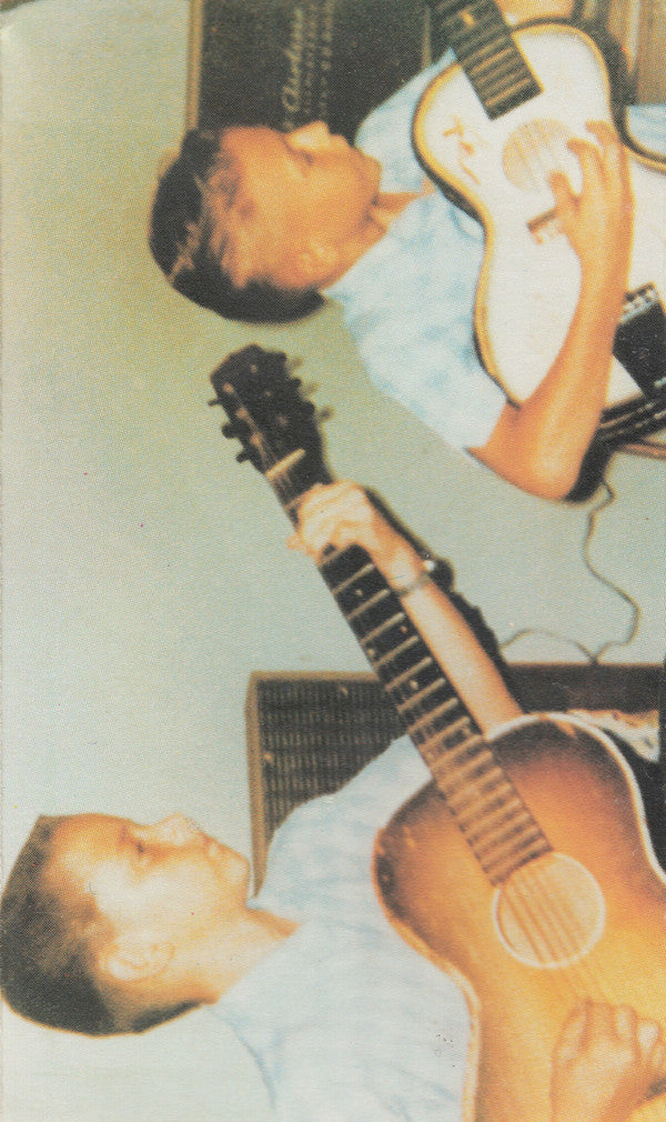 Vaughan Brothers, The : Family Style (Album)