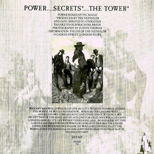 Fields Of The Nephilim : Power (12",45 RPM)