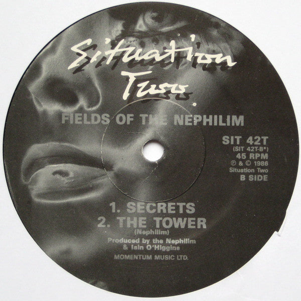 Fields Of The Nephilim : Power (12",45 RPM)