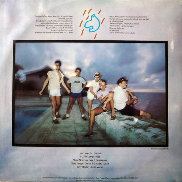 Spandau Ballet : True (LP,Album)