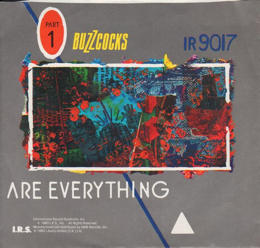 Buzzcocks : Are Everything / Why She's A Girl From The Chain Store (7")