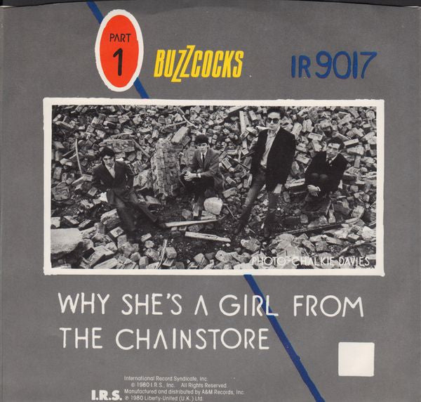 Buzzcocks : Are Everything / Why She's A Girl From The Chain Store (7")