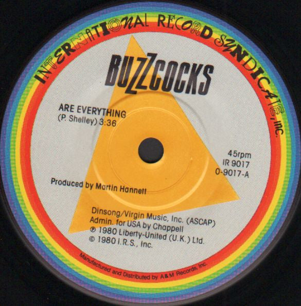 Buzzcocks : Are Everything / Why She's A Girl From The Chain Store (7")