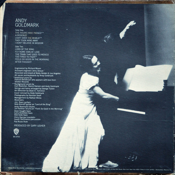 Andy Goldmark : Andy Goldmark (LP,Album,Stereo)