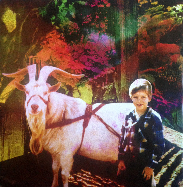 Big Deal (11) : June Gloom (LP,Album)