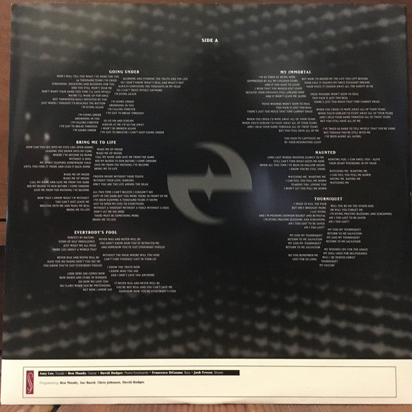 Evanescence : Fallen (LP,Album,Reissue)