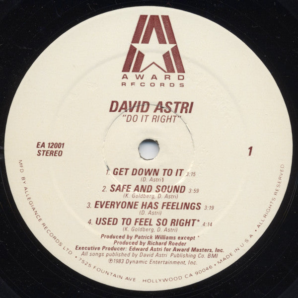 David Astri : Do It Right (LP)