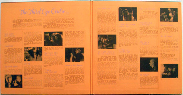 Belle & Sebastian : The Third Eye Centre (LP,Compilation,Limited Edition)