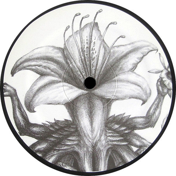 Botanist : IV: Mandragora (LP,Album)