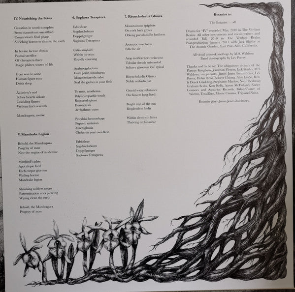 Botanist : IV: Mandragora (LP,Album)