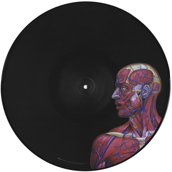 Tool (2) : Lateralus (LP,Album,Limited Edition,Picture Disc,Reissue)