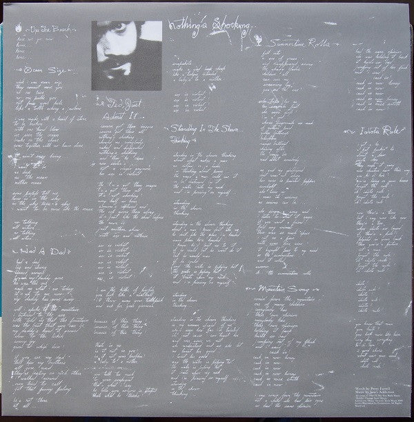 Jane's Addiction : Nothing's Shocking (LP,Album,Reissue)