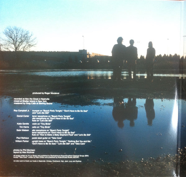 Yo La Tengo : Summer Sun (LP,Album)