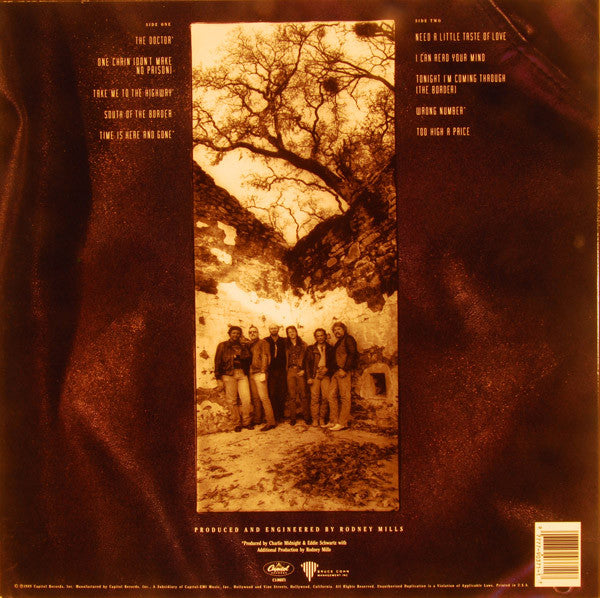 Doobie Brothers, The : Cycles (LP,Album)