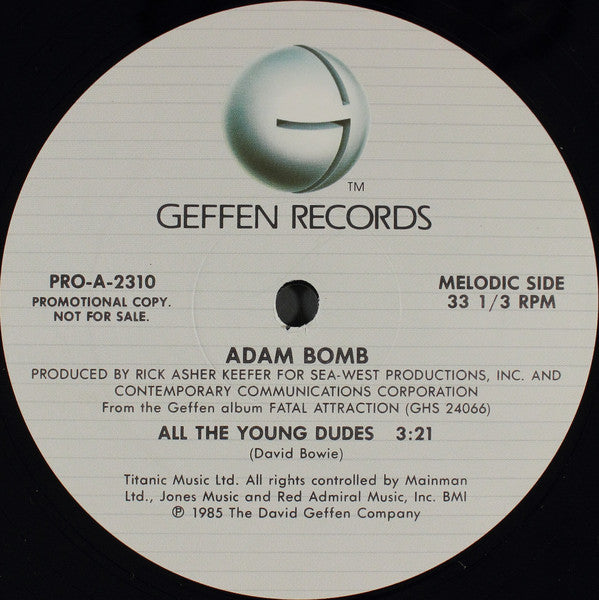 Adam Bomb : SST (12",33 ⅓ RPM,Promo)