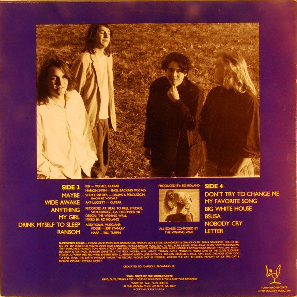 Wishing Wall, The : Maybe (LP,Album)