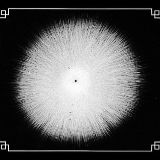 Castevet : Obsian (LP,Album,Limited Edition)