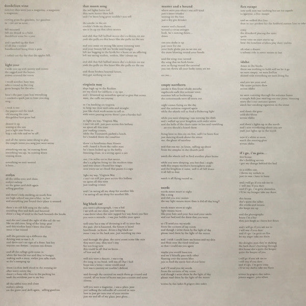 Gregory Alan Isakov : This Empty Northern Hemisphere (LP,Album)