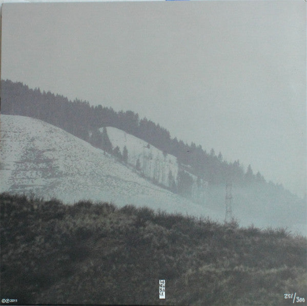 Brett Netson : Simple Work For The Dead (LP,Limited Edition,Numbered)