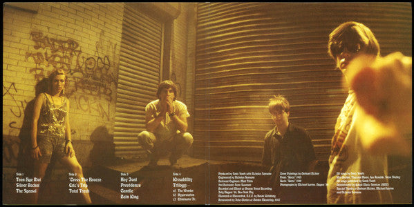 Sonic Youth : Daydream Nation (LP,Album,Reissue,Remastered,Repress,Stereo)