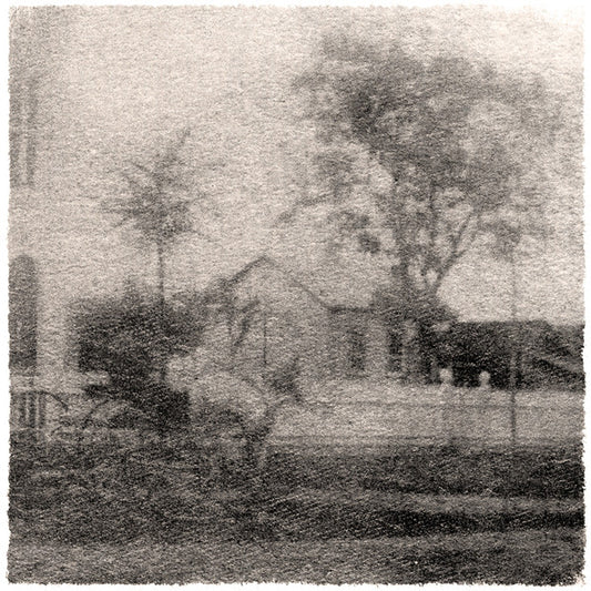 Buckshot Facelift : Elder's Rasp (LP,11",Numbered)