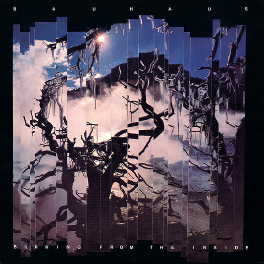 Bauhaus : Burning From The Inside (LP,Album)