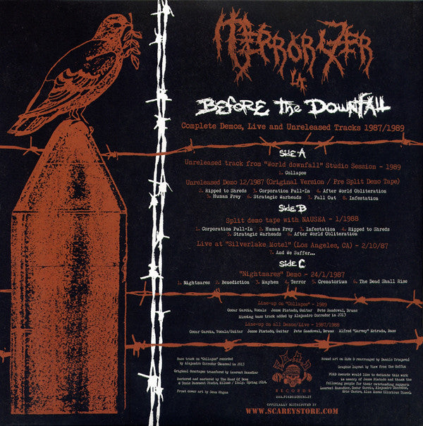 Terrorizer : Before The Downfall (LP)