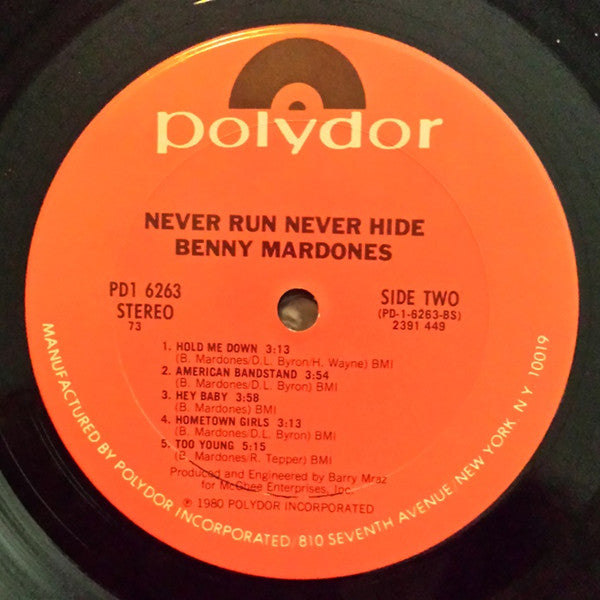 Benny Mardones : Never Run Never Hide (LP,Album)