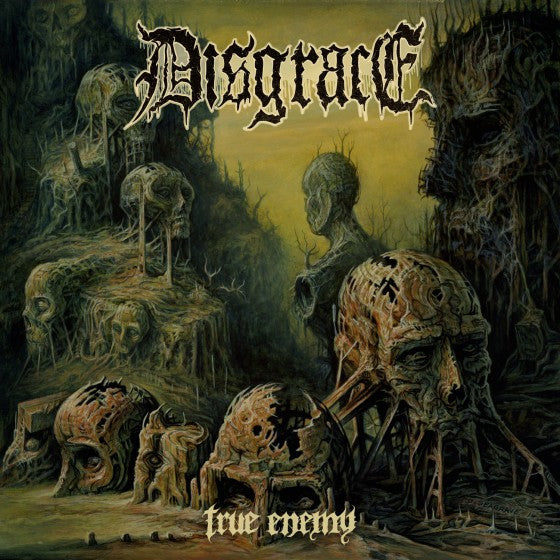 Disgrace (2) : True Enemy (LP,Album,Stereo)