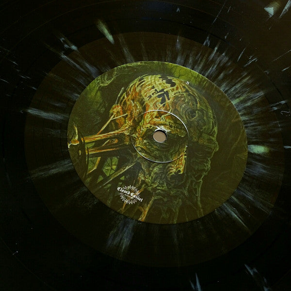 Disgrace (2) : True Enemy (LP,Album,Stereo)