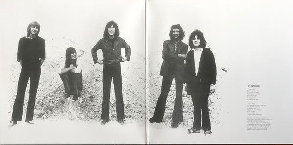 Fleetwood Mac : Then Play On (LP,Album,Reissue,Stereo)