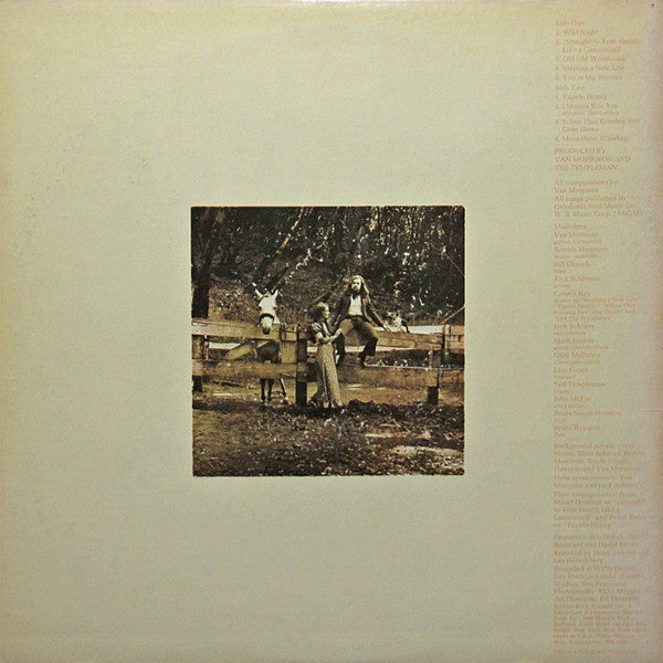 Van Morrison : Tupelo Honey (LP,Album,Stereo)