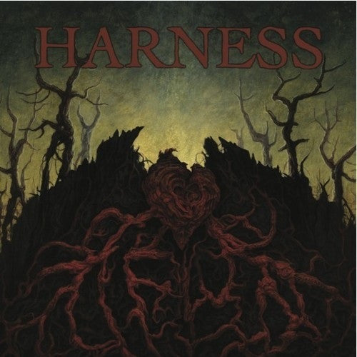 Disgrace (2), Harness (3) : Disgrace / Harness (7")