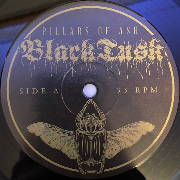 Black Tusk : Pillars Of Ash (LP,Album)