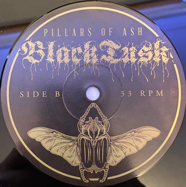 Black Tusk : Pillars Of Ash (LP,Album)