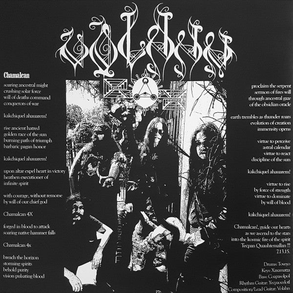 Various : Desert Dances and Serpent Sermons (LP,Compilation,Limited Edition)