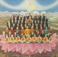 George Harrison : Dark Horse (LP,Album)