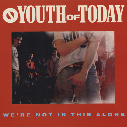 Youth Of Today : We're Not In This Alone (LP,Album)