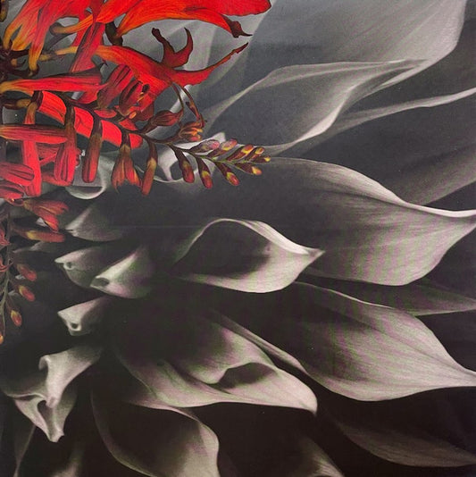 Heiress : Made Wrong (LP,Album)