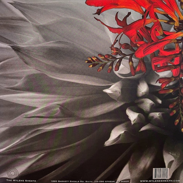 Heiress : Made Wrong (LP,Album)