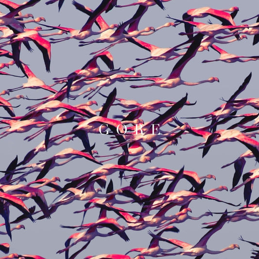 Deftones : Gore (LP,Album,Limited Edition)