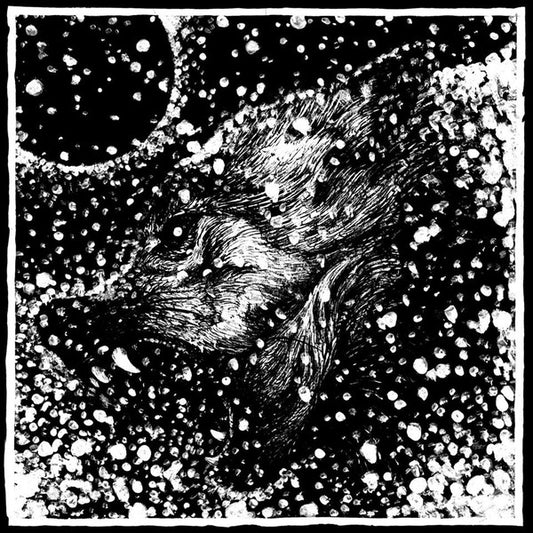 Slidhr : Spit Of The Apostate (12",45 RPM,Mini-Album)