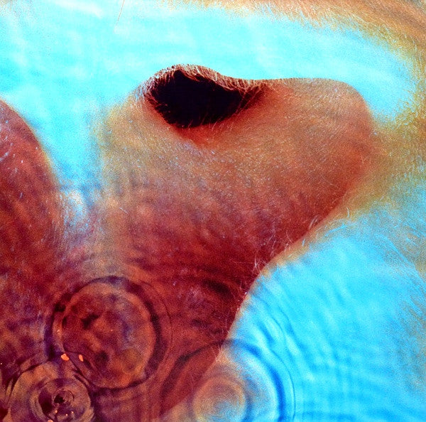 Pink Floyd : Meddle (LP,Album,Reissue,Remastered,Stereo)