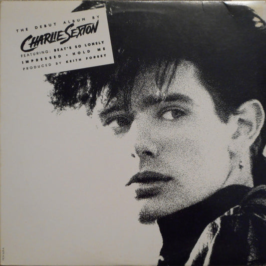 Charlie Sexton : Pictures For Pleasure (LP,Album)