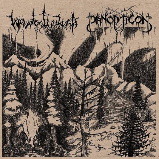 Waldgeflüster / Panopticon (6) : Waldgeflüster / Panopticon (LP,Limited Edition)