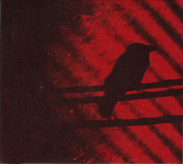 A Silver Mt. Zion : Born Into Trouble As The Sparks Fly Upward. (Album)