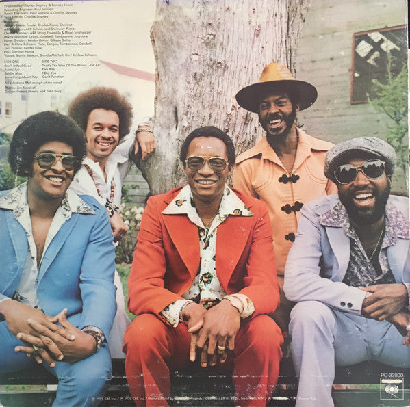 Ramsey Lewis : Don't It Feel Good (LP,Album)