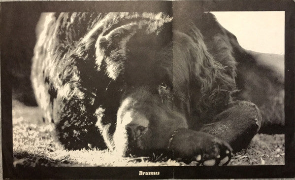 Jefferson Airplane : Crown Of Creation (LP,Album,Repress,Stereo)